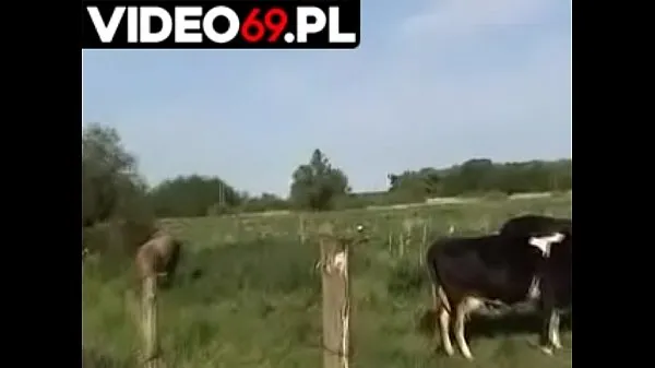 Új Polish porn - Rural atmosphere friss cső