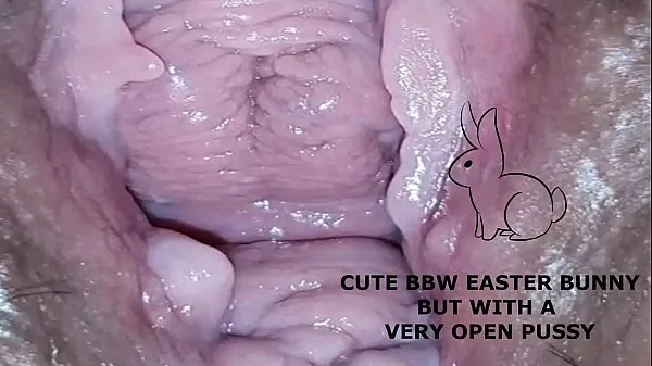 새로운 Cute bbw bunny, but with a very open pussy 신선한 튜브